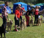 BIS-2 Breeders Group Puppy
